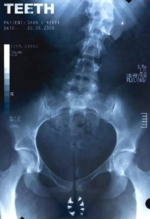 密歇根州立大学MechanicalEngineeringDegreeCertificate